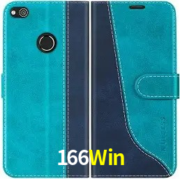 Responsive Design 166Win